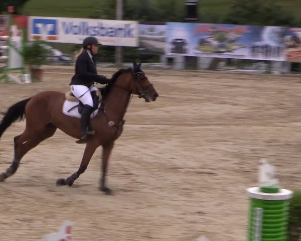Reitturnier Lindlar 2014