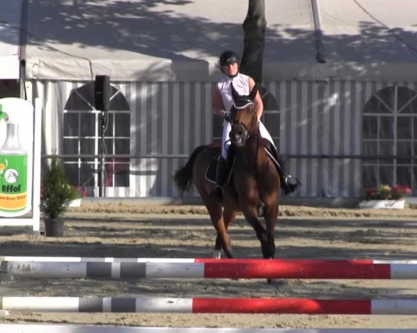 Reitturnier Senden 2014
