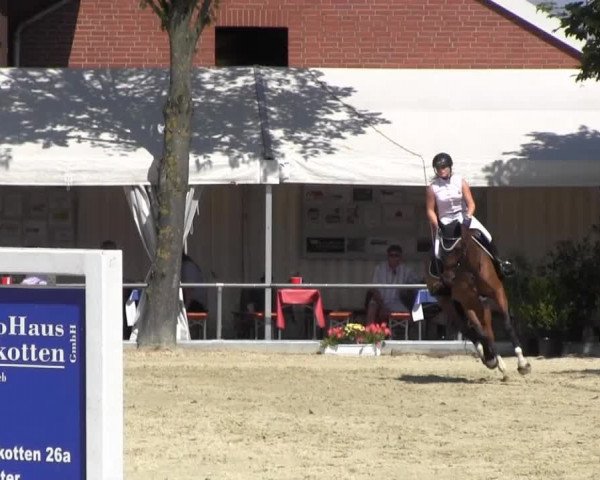 Reitturnier Senden 2014