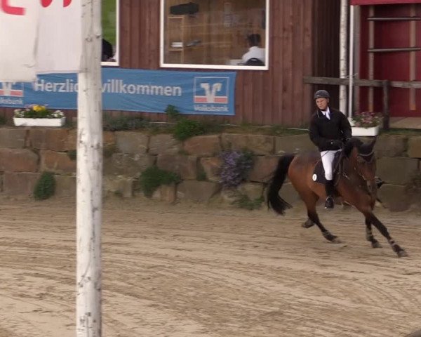 Reitturnier Lindlar 2014