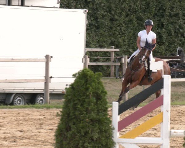 Reitturnier Altenberge 2025