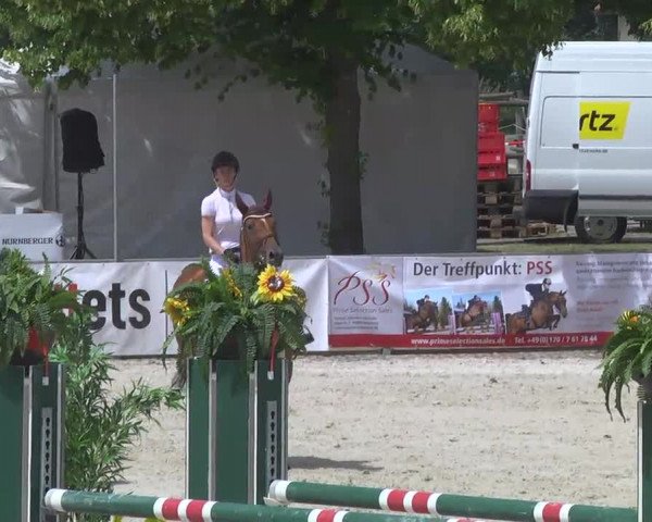 Reitertage Hagau 2014