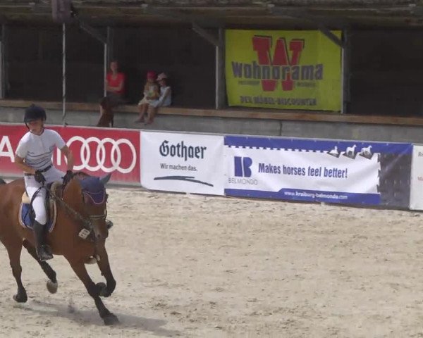 Reitertage Hagau 2014