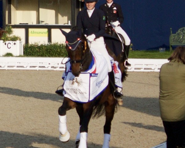 dressage horse Zafriq de Jeu (KWPN (Royal Dutch Sporthorse), 2004, from Rousseau)