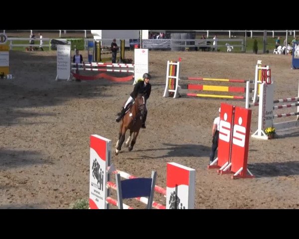 Reit- und Springturnier des RV Letmathe e.V. 2014