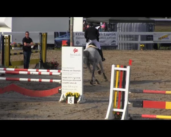 Reit- und Springturnier des RV Letmathe e.V. 2014