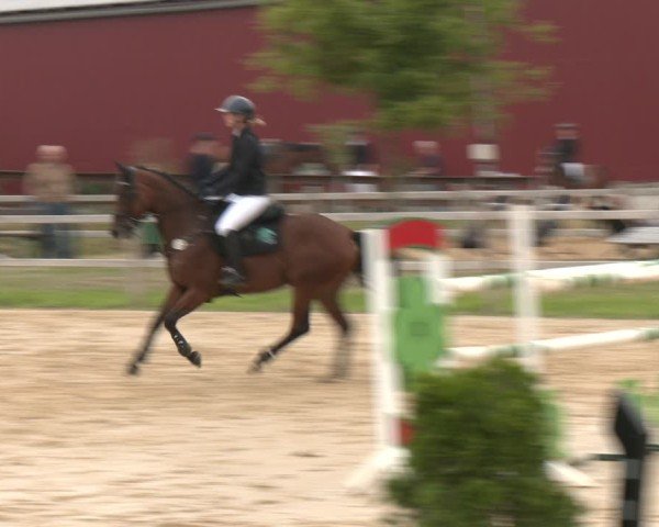 Reitturnier Altenberge 2025