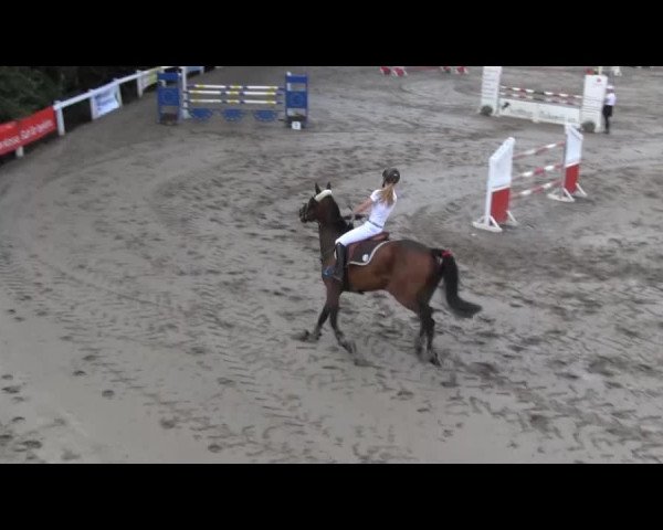 Reit- und Springturnier des RV Letmathe e.V. 2014