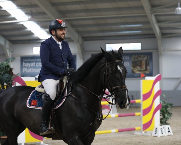 horse Jade (KWPN (Royal Dutch Sporthorse), 2014, from Indoctro)