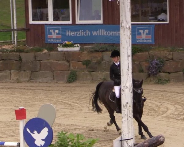 Reitturnier Lindlar 2014