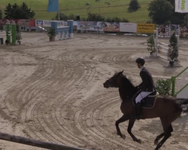 Reitturnier Lindlar 2014