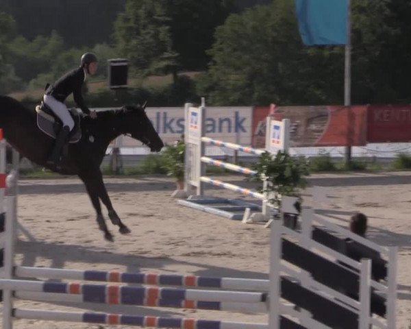 Reitturnier Lindlar 2014