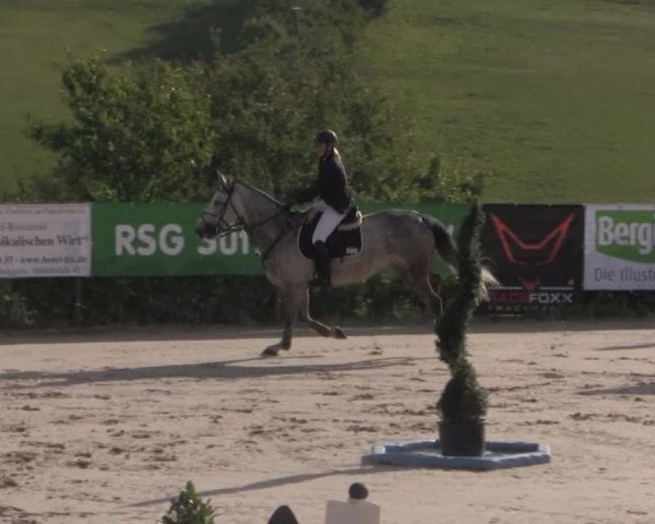 Reitturnier Lindlar 2014