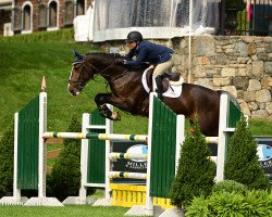 jumper Everything (KWPN (Royal Dutch Sporthorse), 2009, from Calvaro Z)