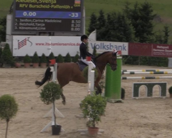 Reitturnier Lindlar 2014