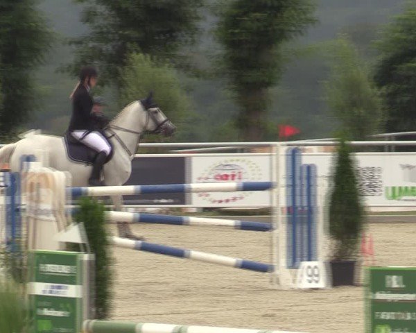 Torneo Equestre Stolberg-Büsbach 2025