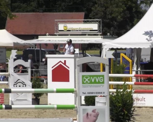 Reitturnier Senden 2014