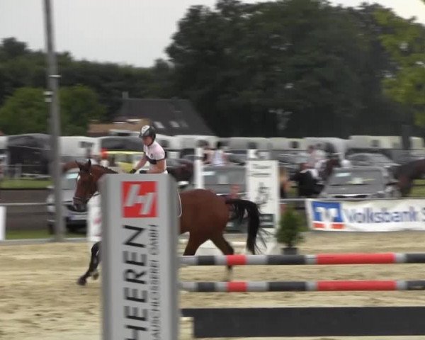 Reitturnier Senden 2014