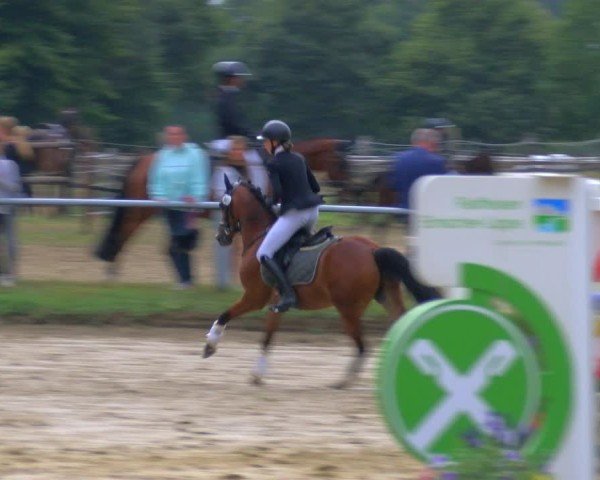 Reitturnier Datteln 2025