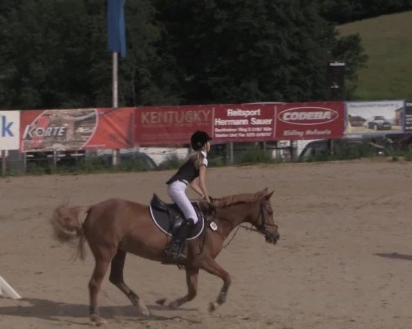 Reitturnier Lindlar 2014
