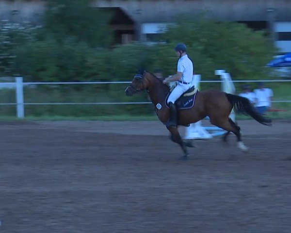 Jezdecký turnaj Demantsfürth/Mfr. 2025
