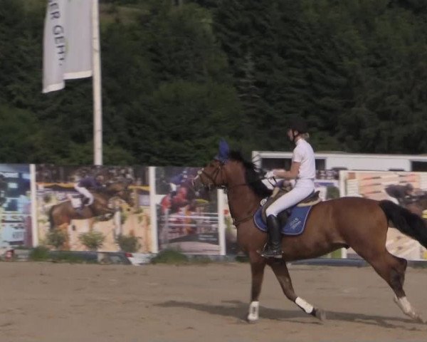 Reitturnier Lindlar 2014