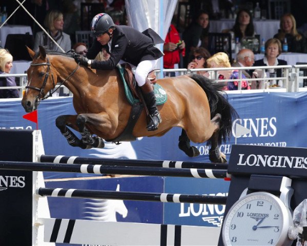 broodmare Murka's Odie de Frevent (Selle Français, 2002, from Urbain du Monnai)