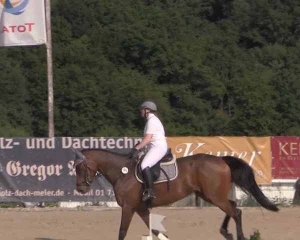 Reitturnier Lindlar 2014