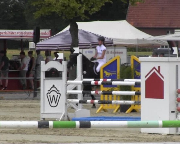 Reitturnier Senden 2014