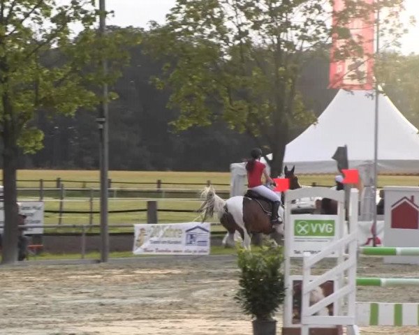 Reitturnier Senden 2014