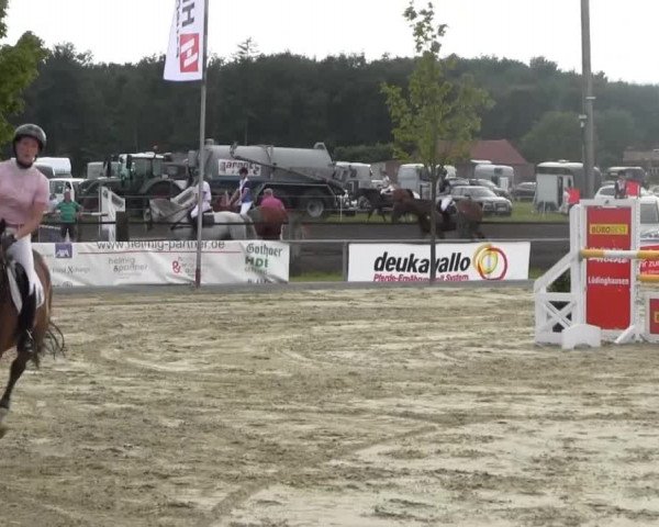 Reitturnier Senden 2014