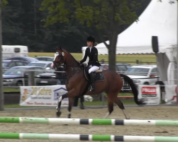 Reitturnier Senden 2014