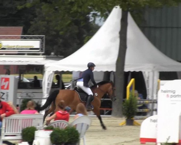 Reitturnier Senden 2014