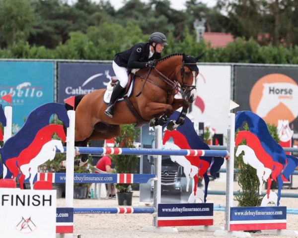 jumper Forest Quality (Irish Sport Horse, 2012, from Obos Quality)