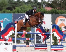 Springpferd Forest Quality (Irish Sport Horse, 2012, von Obos Quality)