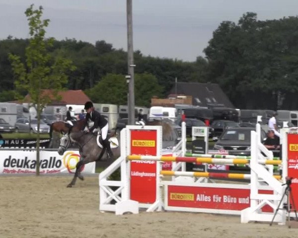 Reitturnier Senden 2014