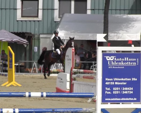 Reitturnier Senden 2014