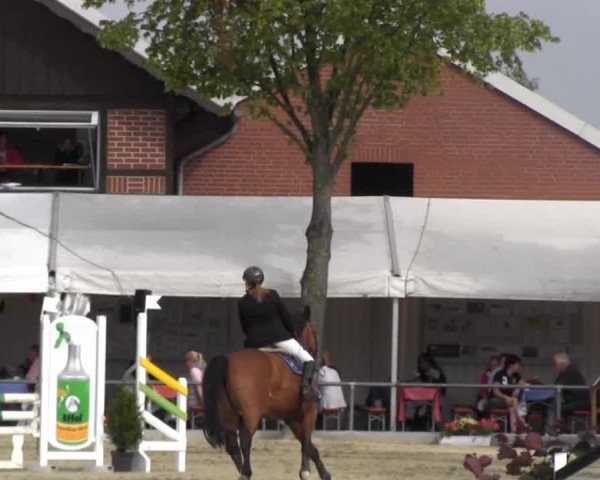 Reitturnier Senden 2014