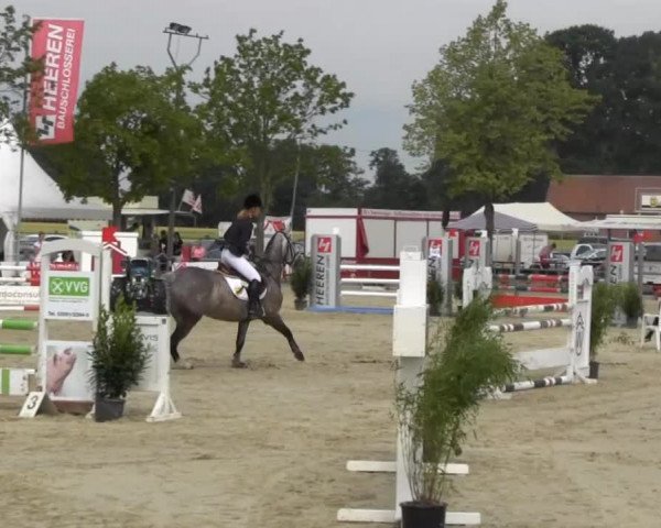 Reitturnier Senden 2014