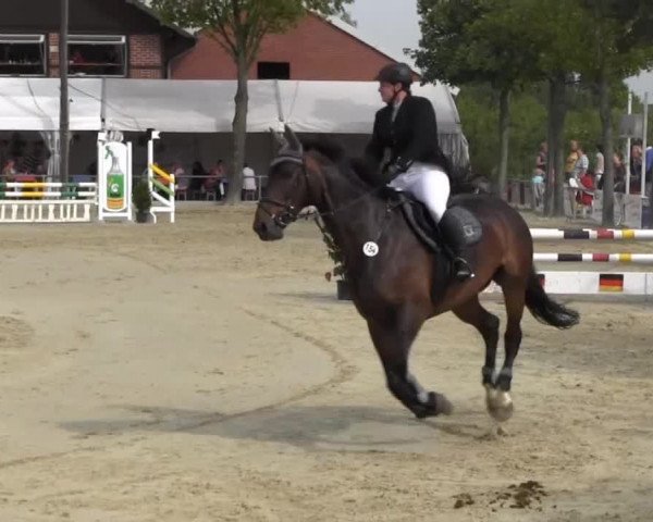 Reitturnier Senden 2014