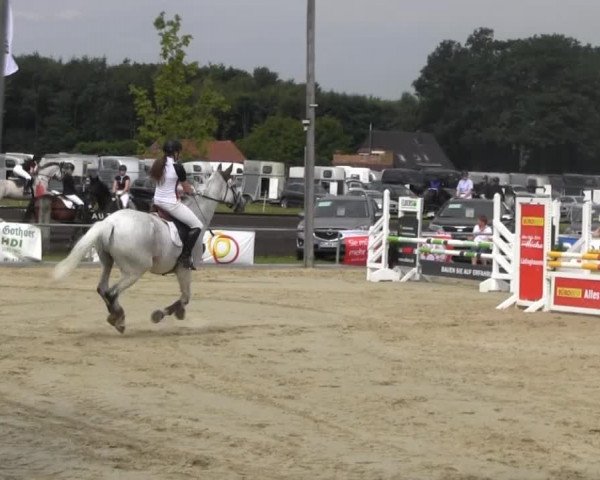 Reitturnier Senden 2014