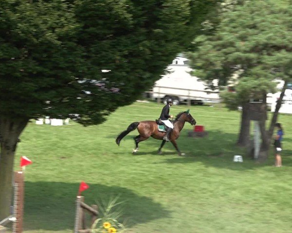 Torneo Ecuestre Aadorf 2025