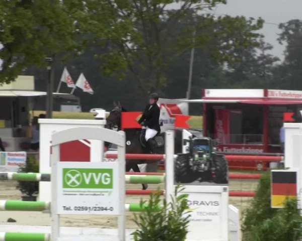 Reitturnier Senden 2014
