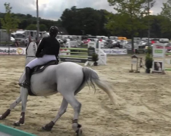 Reitturnier Senden 2014