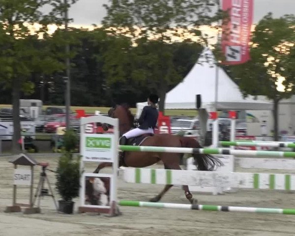 Reitturnier Senden 2014