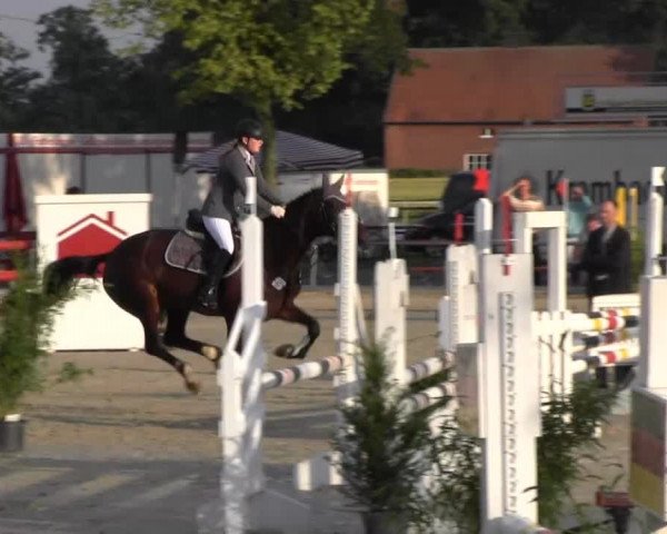 Reitturnier Senden 2014