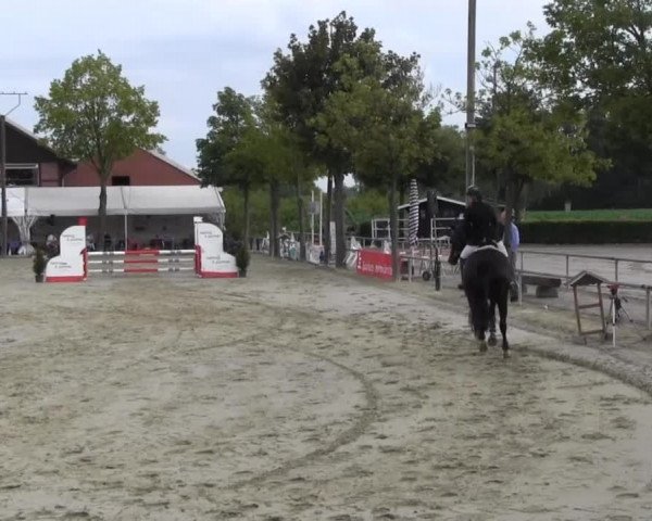 Reitturnier Senden 2014