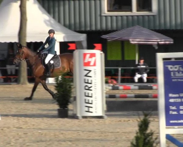 Reitturnier Senden 2014