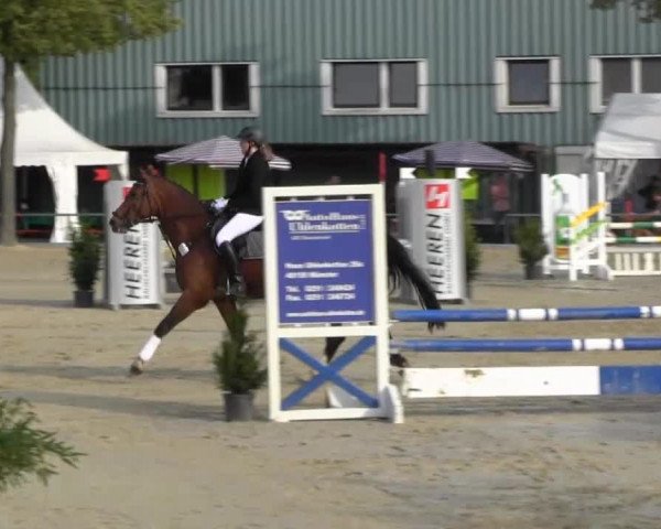 Reitturnier Senden 2014