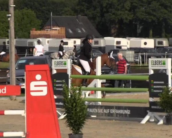 Reitturnier Senden 2014